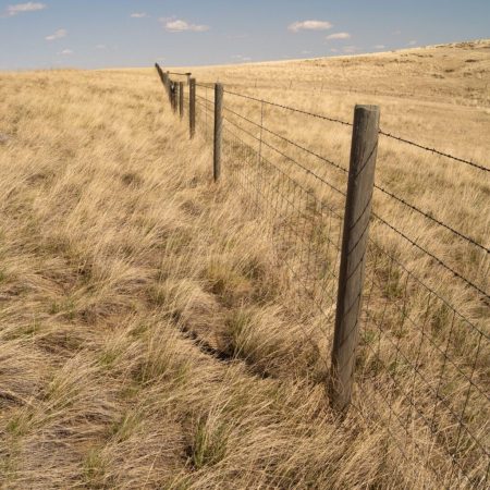 On The Spot Earthworks - Fencing